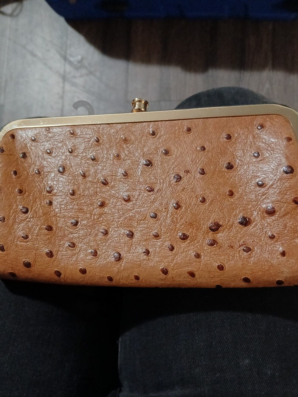G.I.L.I *NWOT* Textured Ostrich Leather Frame Clutch Wallet
